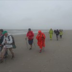 Baie de Somme, du côté de Marquenterre